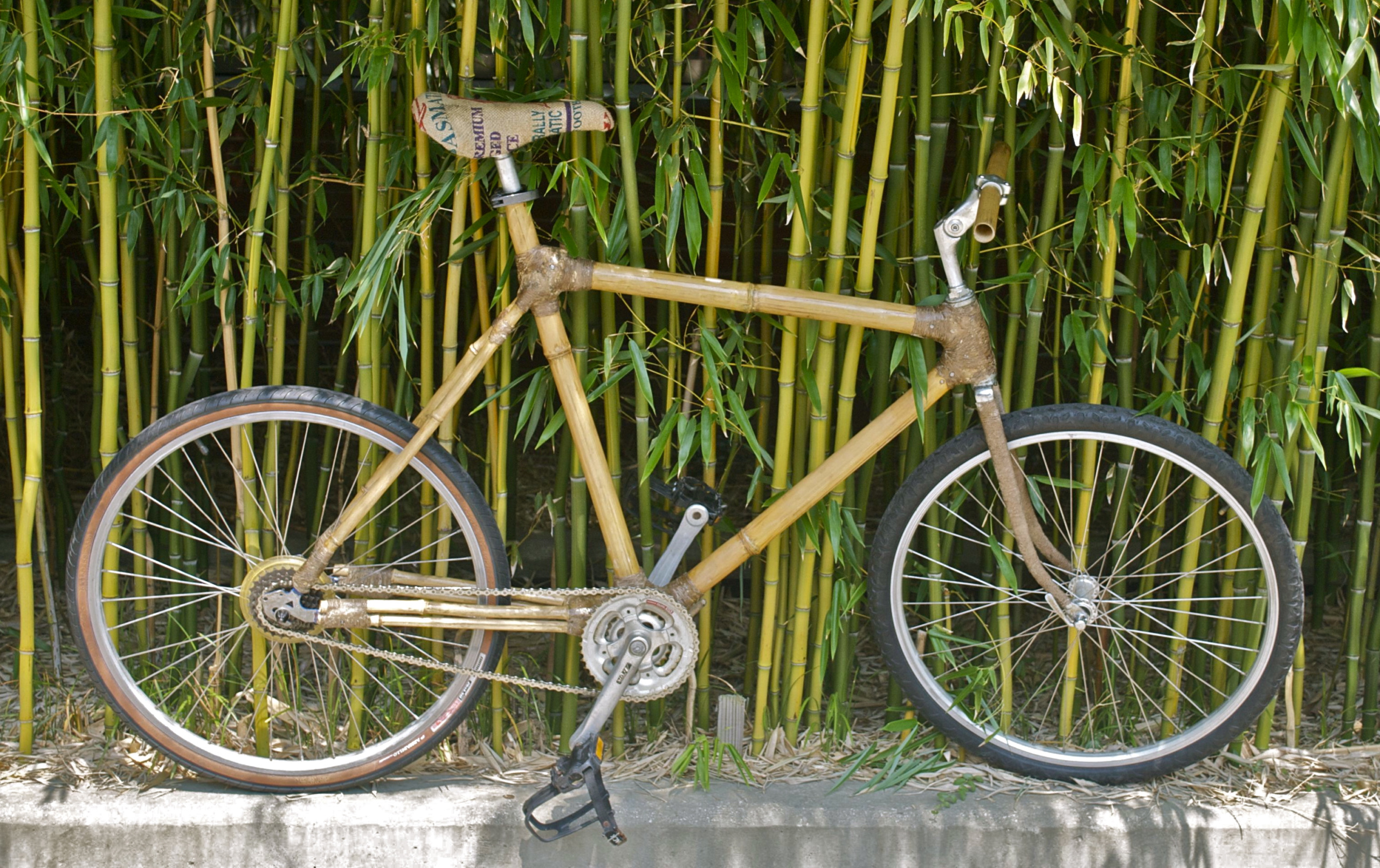 Bamboo bike made in 2009