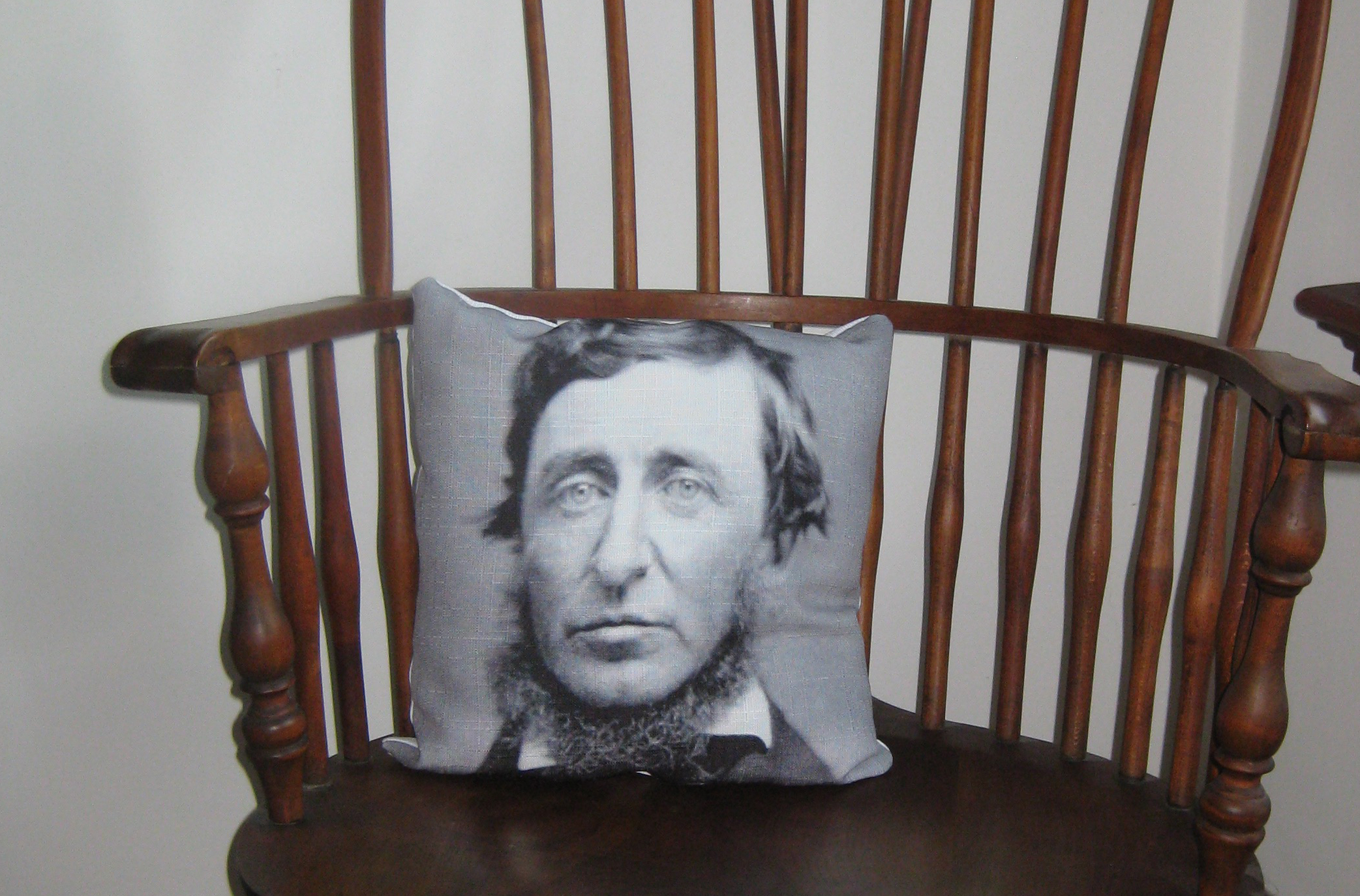 Thoreau Pillow